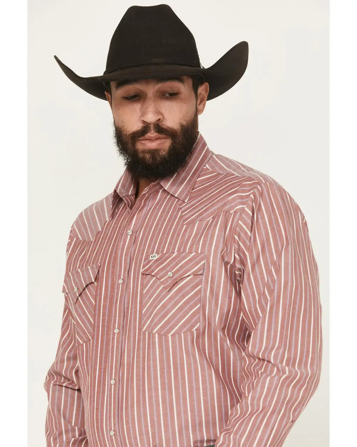 Ely Walker Men's Striped Long Sleeve Pearl Snap Western Shirt