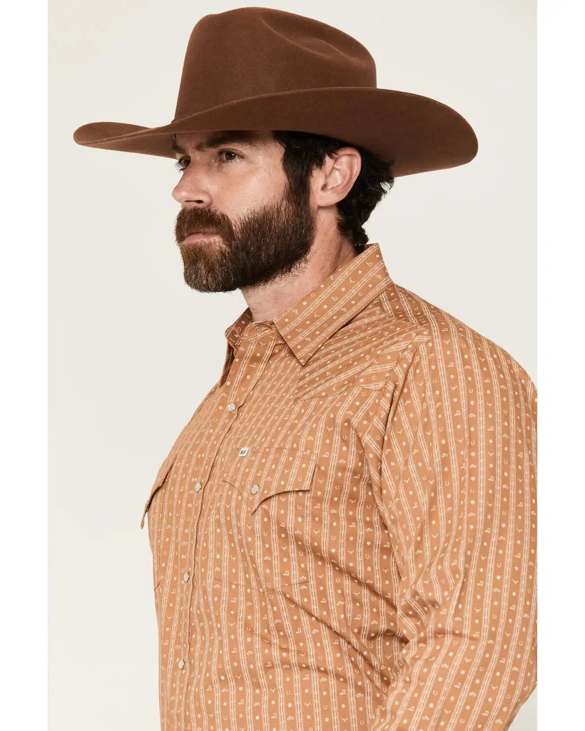 Ely Walker Men's Conversation Stripe Print Long Sleeve Snap Western Shirt